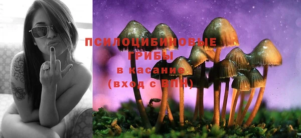 соль курить ск Весьегонск